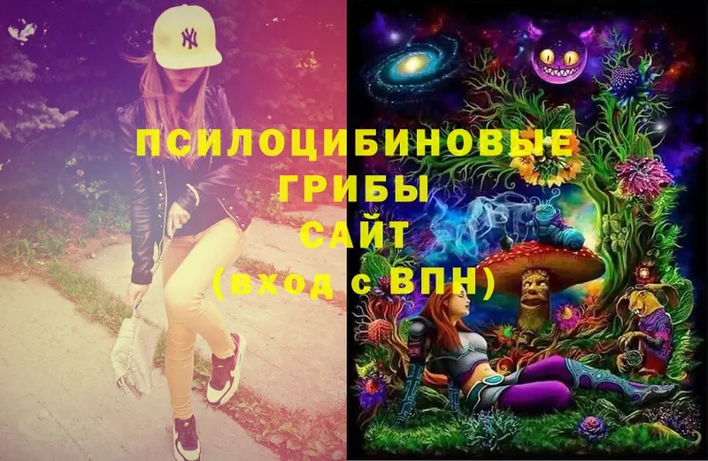 omg   маркетплейс формула  Галлюциногенные грибы Cubensis  Калач 